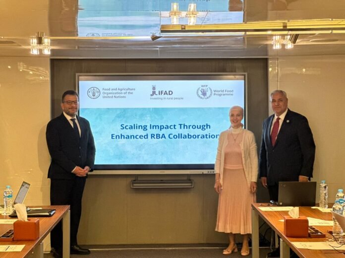 جدّدت منظمة الأغذية والزراعة للأمم المتحدة (FAO)، والصندوق الدولي للتنمية الزراعية (IFAD)، وبرنامج الأغذية العالمي (WFP) تأكيدهم على أدوارهم الحيوية والمتكاملة في تعزيز الأمن الغذائي، وبناء نظم غذائية قادرة على الصمود، ودفع جهود التكيف مع تغير المناخ في مصر.